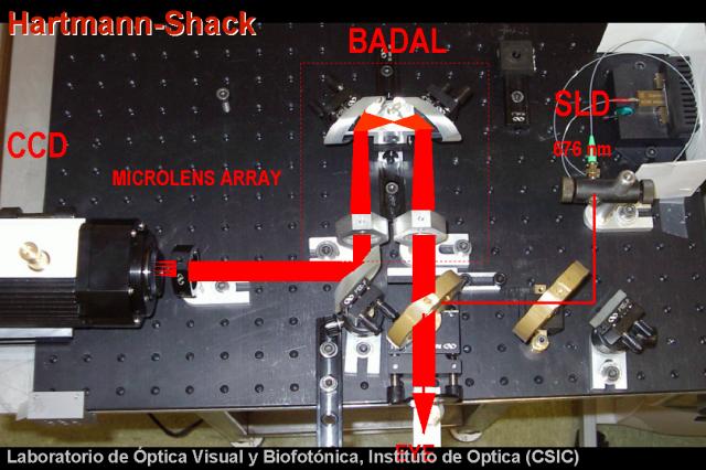 This is a top view of the HS system developed for animal models